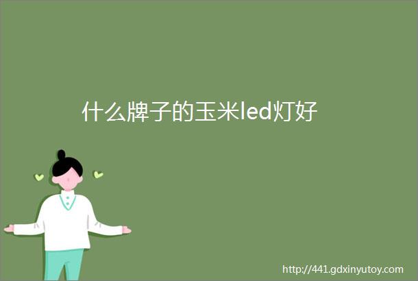 什么牌子的玉米led灯好